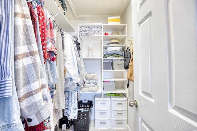 view of spacious closet