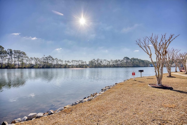 property view of water