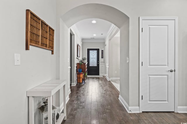 hallway with crown molding and dark hardwood / wood-style flooring