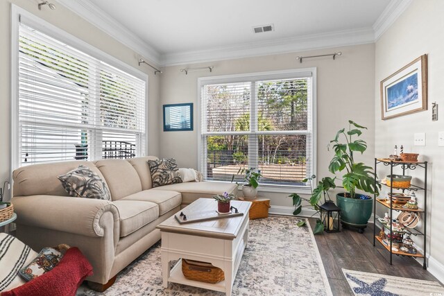 living room featuring crown molding and wood-type flooring