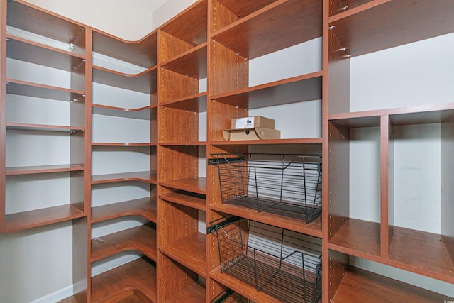 walk in closet with wood-type flooring