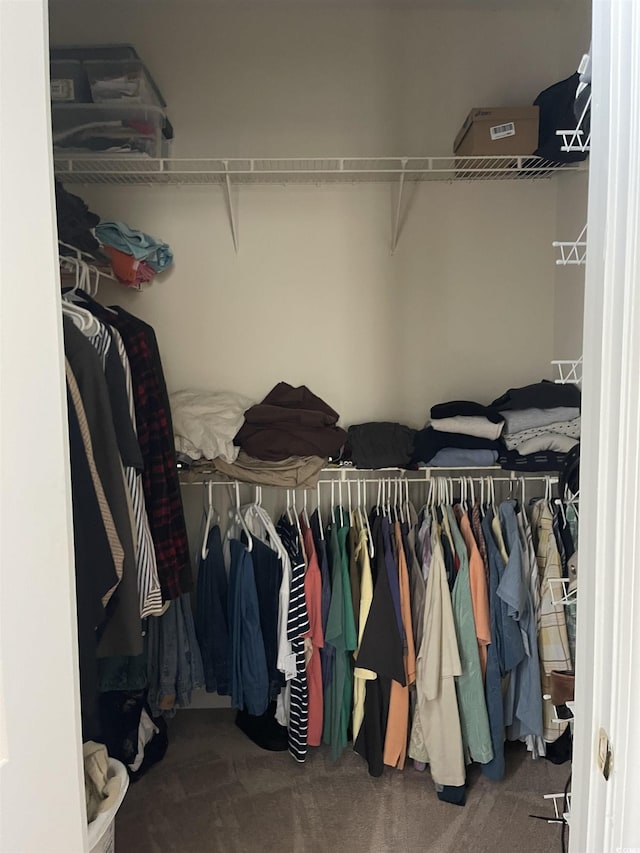 9764 Leyland Dr Unit 7, Myrtle Beach, SC 29572 - spacious closet with carpet floors