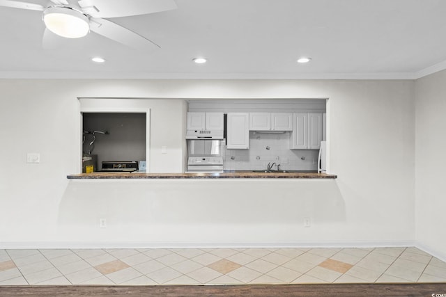 112 Staton Ln, Longs, SC 29568 - kitchen with under cabinet range hood, stove, crown molding, decorative backsplash, and a peninsula