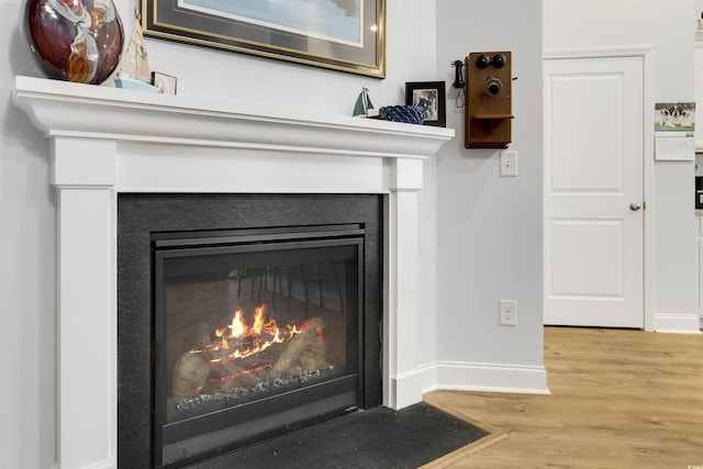 room details with hardwood / wood-style floors