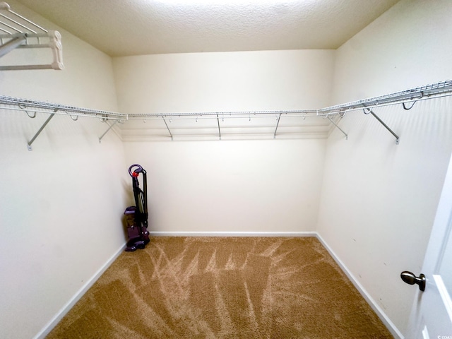 spacious closet with carpet floors