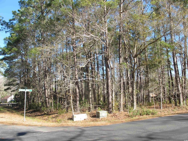 Listing photo 3 for LOT2 Sage Ct, Carolina Shores NC 28467