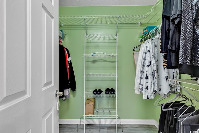 spacious closet with wood-type flooring