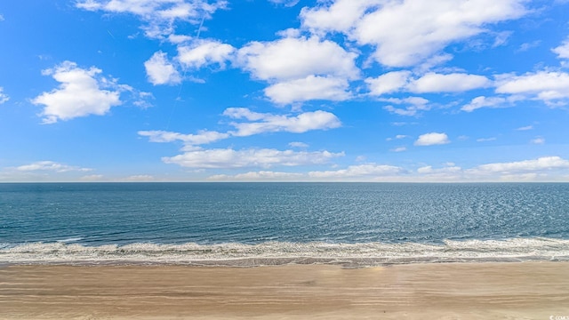 property view of water with a beach view