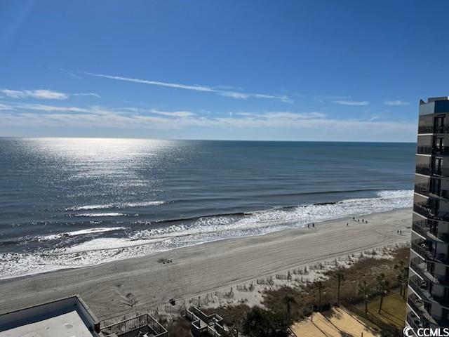 water view featuring a beach view