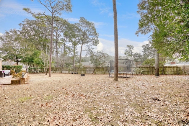 view of yard with a trampoline