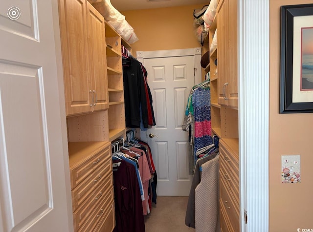 spacious closet with carpet floors