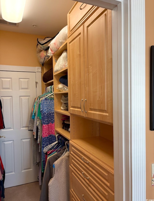 view of walk in closet