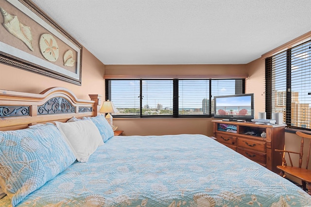 bedroom with multiple windows and a textured ceiling