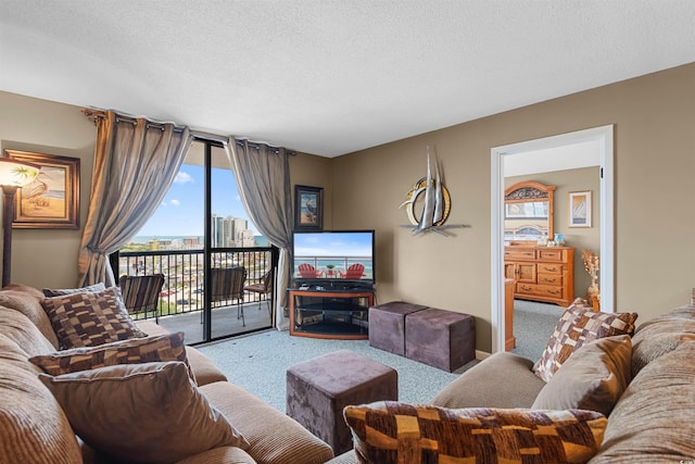 living room featuring carpet and a textured ceiling