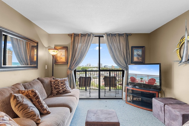 living room featuring carpet and a textured ceiling