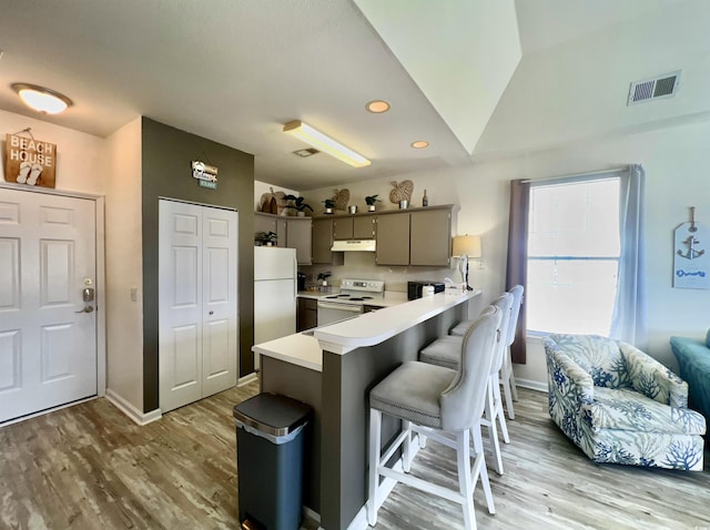 kitchen with a kitchen bar, gray cabinetry, light hardwood / wood-style flooring, kitchen peninsula, and white appliances