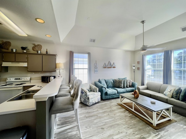 living room with sink, light hardwood / wood-style floors, a raised ceiling, and ceiling fan