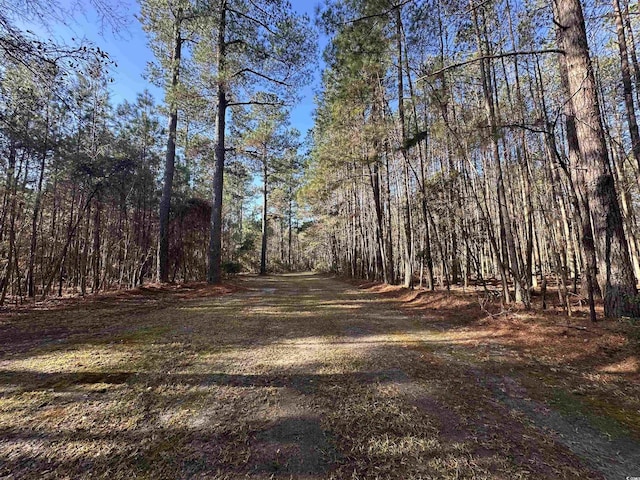 Listing photo 3 for TBD Highway 521, Andrews SC 29510