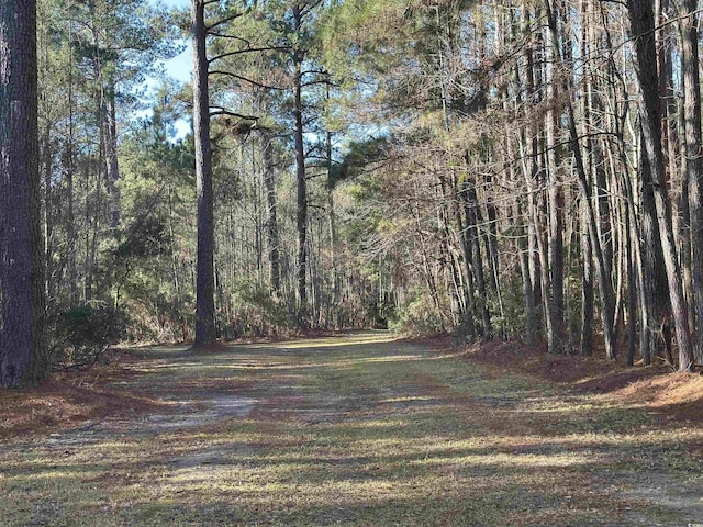 TBD Highway 521, Andrews SC, 29510 land for sale