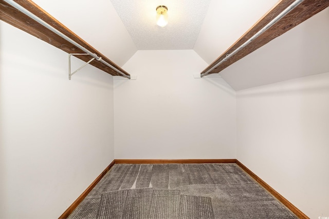 spacious closet featuring lofted ceiling and carpet