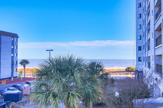 5905 S Kings Hwy Unit 217-C, Myrtle Beach, SC 29575 - photo 23