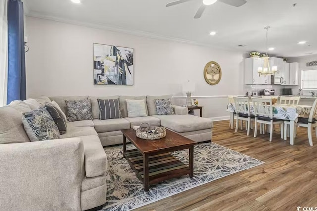 living room with ceiling fan with notable chandelier, wood-type flooring, and ornamental molding