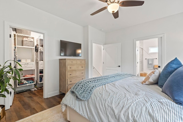 bedroom with dark hardwood / wood-style floors, a walk in closet, ceiling fan, ensuite bath, and a closet