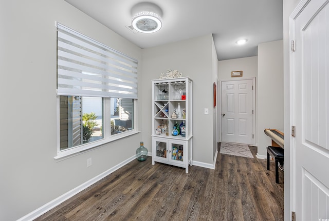 entrance foyer with dark hardwood / wood-style floors