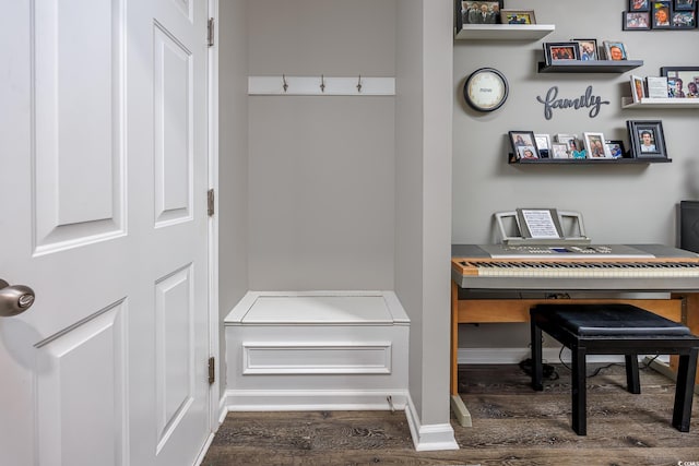 mudroom with dark hardwood / wood-style flooring