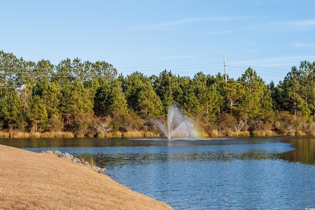 property view of water