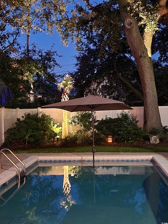 view of swimming pool with a fenced backyard and a fenced in pool