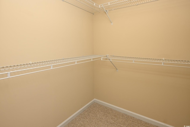 spacious closet with carpet