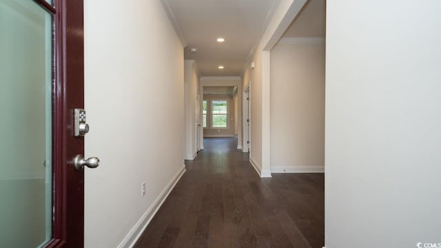 hall featuring dark hardwood / wood-style flooring and ornamental molding