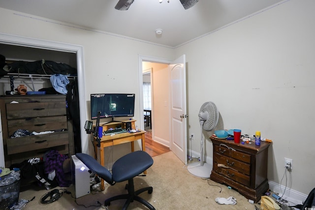 office space featuring carpet floors and baseboards