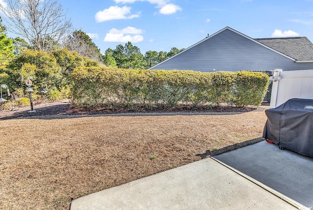 view of yard featuring a patio