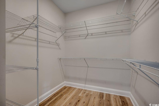 walk in closet with hardwood / wood-style flooring