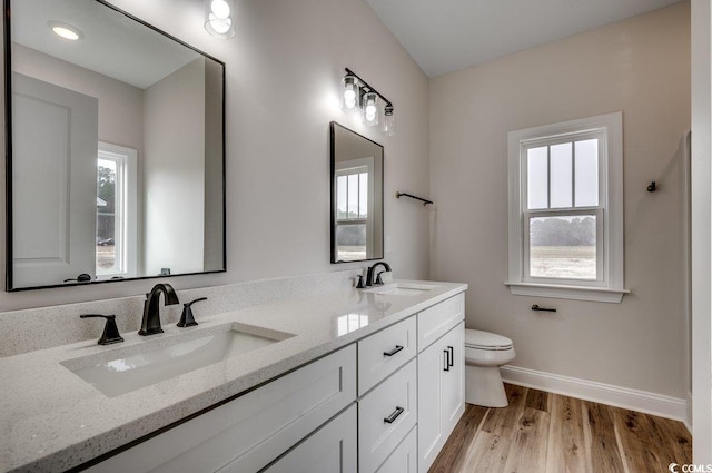 bathroom with vanity, hardwood / wood-style floors, and a wealth of natural light