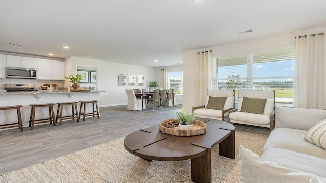 living room with light wood-type flooring