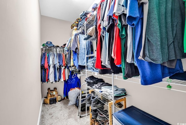 walk in closet featuring carpet floors