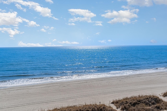 view of water feature featuring a beach view