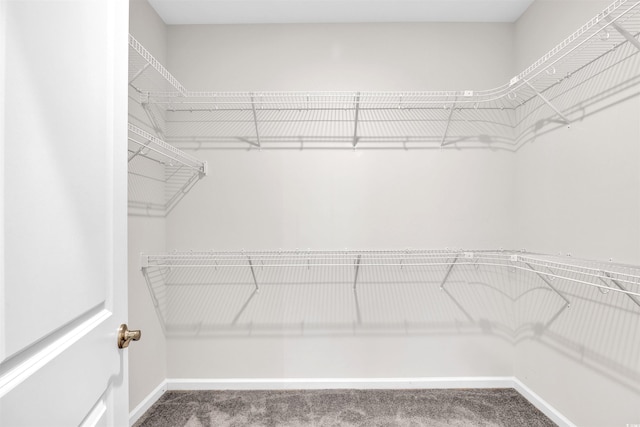 spacious closet with carpet flooring