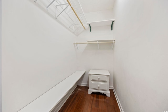 spacious closet featuring dark wood-type flooring