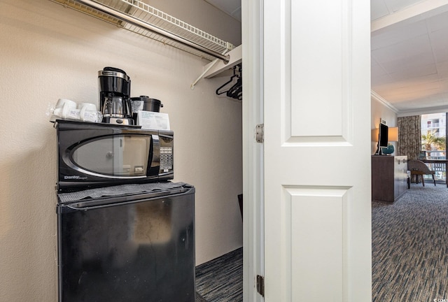 1105 S Ocean Blvd Unit 252, Myrtle Beach, SC 29577 - washroom featuring carpet and ornamental molding
