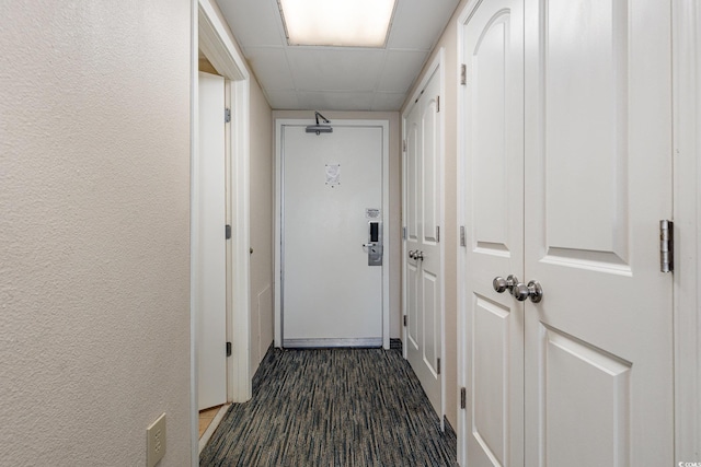 1105 S Ocean Blvd Unit 252, Myrtle Beach, SC 29577 - corridor featuring dark wood finished floors and a drop ceiling