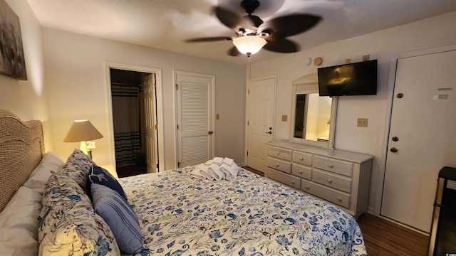 bedroom featuring two closets, dark hardwood / wood-style floors, and ceiling fan