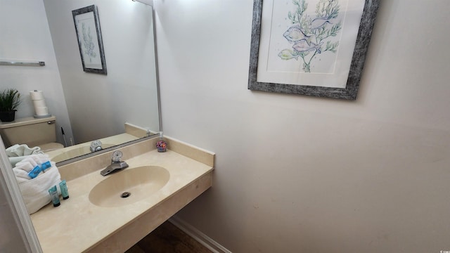 bathroom with sink and toilet