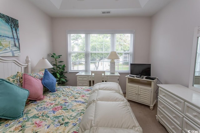 carpeted bedroom with a tray ceiling