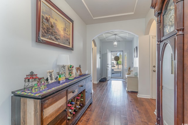 entrance foyer with dark wood-type flooring