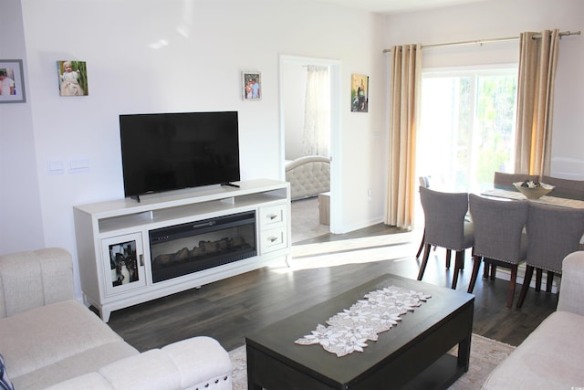 living room with dark hardwood / wood-style floors