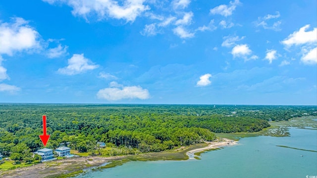 bird's eye view featuring a water view and a wooded view